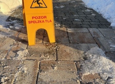 Ali tlakovci prenesejo cestno sol?